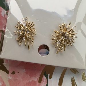 Fashion Earrings